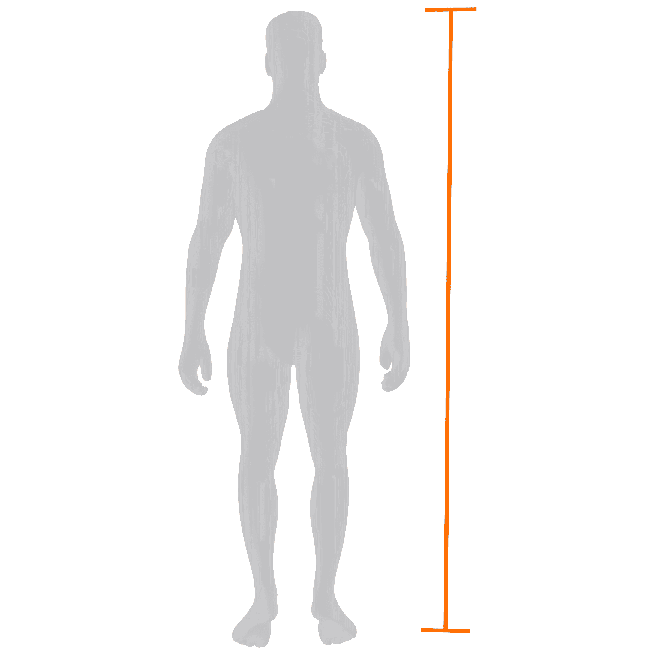 Height measurement diagram, man
